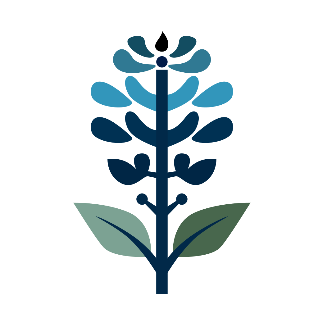 Bluebonnet Resources